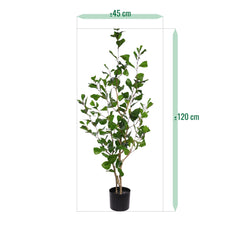 Ficus Triangularis Kunstplant 120cm