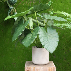 Alocasia Calidora kunstplant 60cm