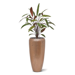 Calathea 75cm Kunstplant Groen/rood