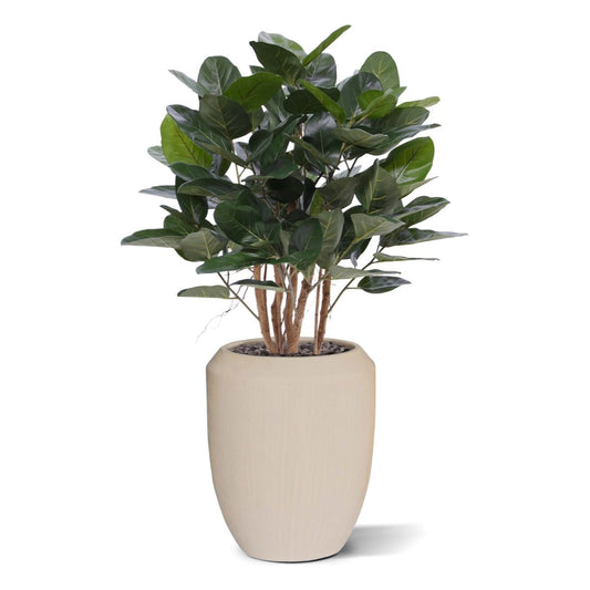 Ficus Audrey kunstplant 100cm
