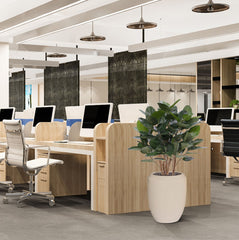 Ficus Audrey kunstplant 100cm