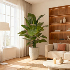 Strelitzia Nicolai XL Kunstpalm 155cm