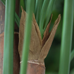 Spathiphyllum Kunstplant Deluxe 130cm