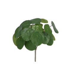 Pannenkoek Kunstplant 30cm