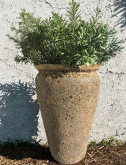 Crossostephium Branch 45 cm UV