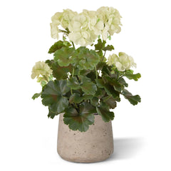 Geranium kunstboeket 38 cm wit UV