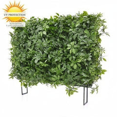 Art outdoor Schefflera hedge on frame with UV protection