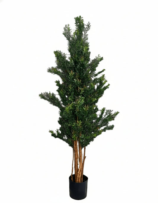 Tall art boxwood 165cm UV green/red