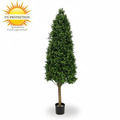 Art Boxwood Pyramid for outside 170 cm UV protected