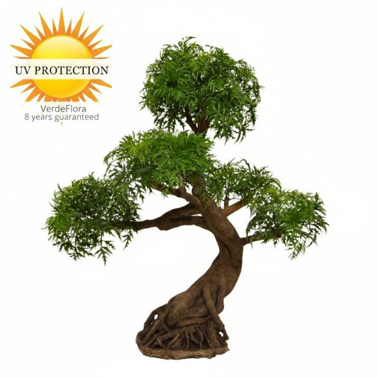 Outdoor Art Bonsai Ming Aralia 90 cm with UV protection