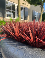 Red artificial grass plant UV 30cm