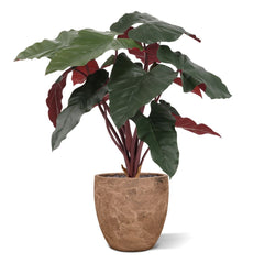 Philodendron kunstplant Deluxe 80cm Burgundy