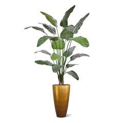 Strelitzia Nicolai deluxe Kunstpalm 200cm in pot
