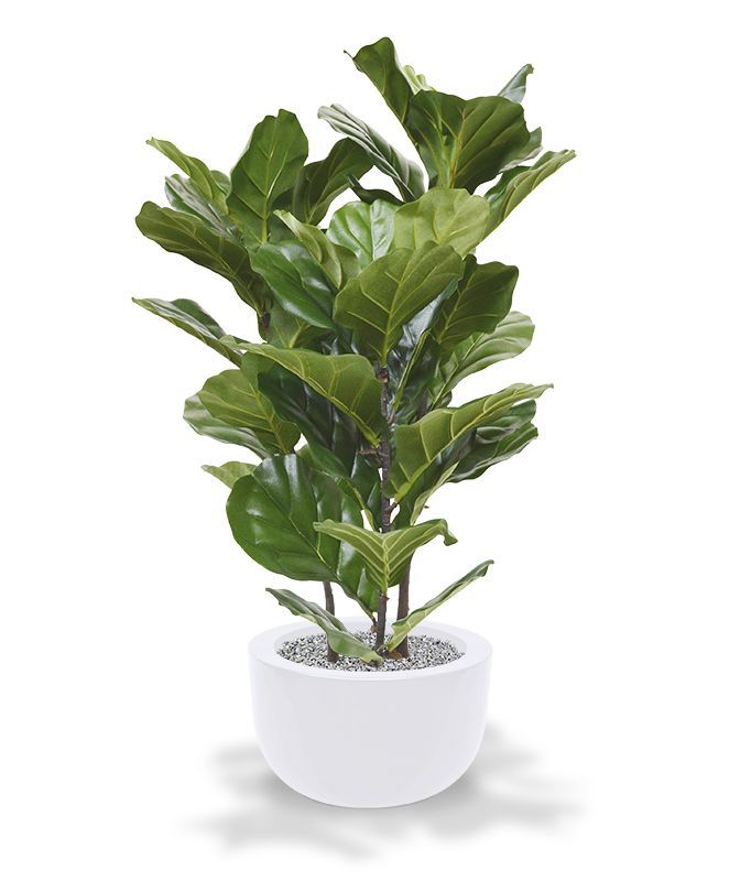Lyrata kunstplant 95cm