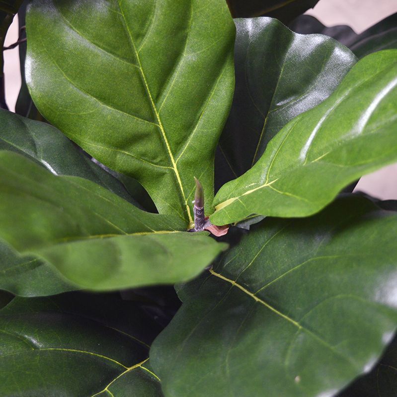 Lyrata kunstplant 95cm