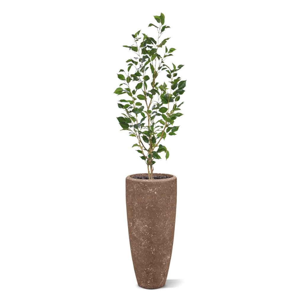 Ficus Exotica Kunstplant NT 120cm