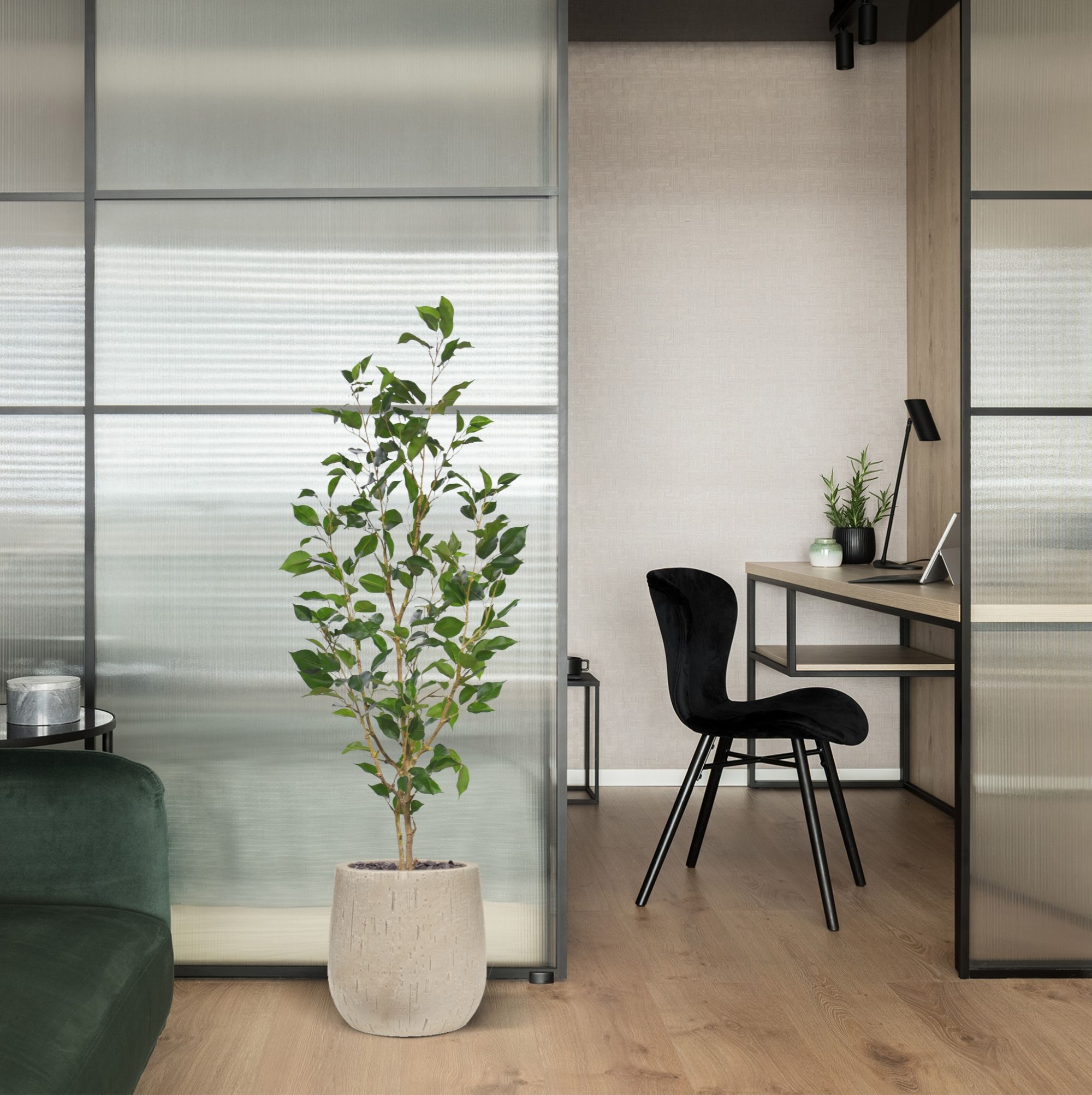 Ficus Exotica Kunstplant NT 120cm