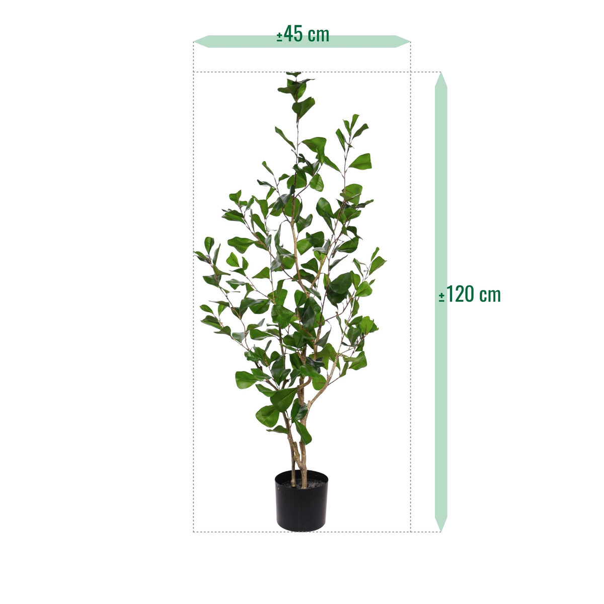Ficus Triangularis Kunstplant 120cm