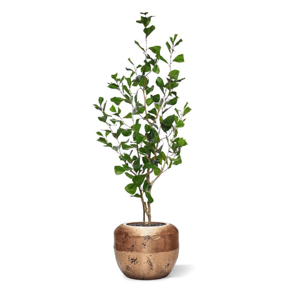 Ficus Triangularis Kunstplant 120cm