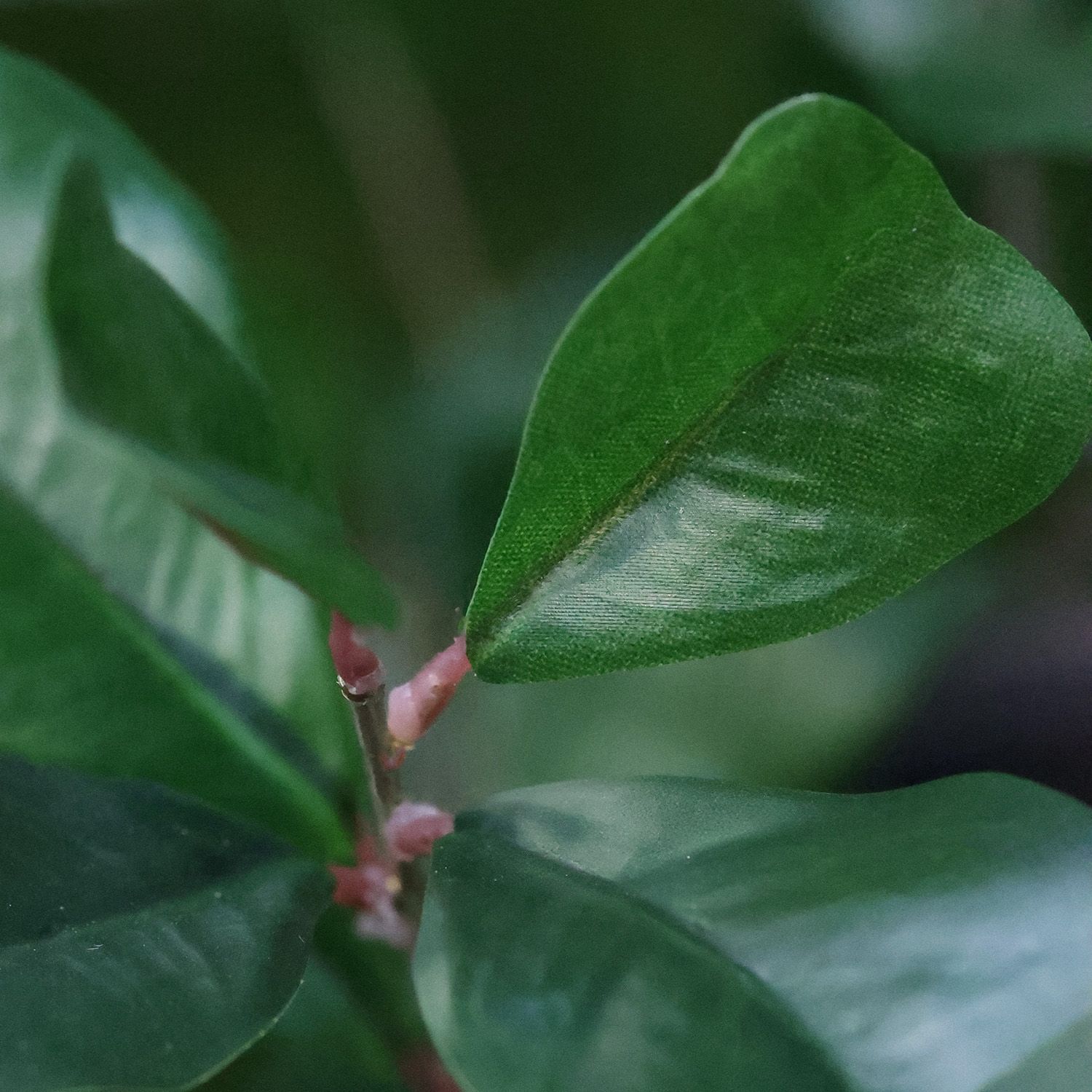 Ficus Triangularis Kunstplant 120cm