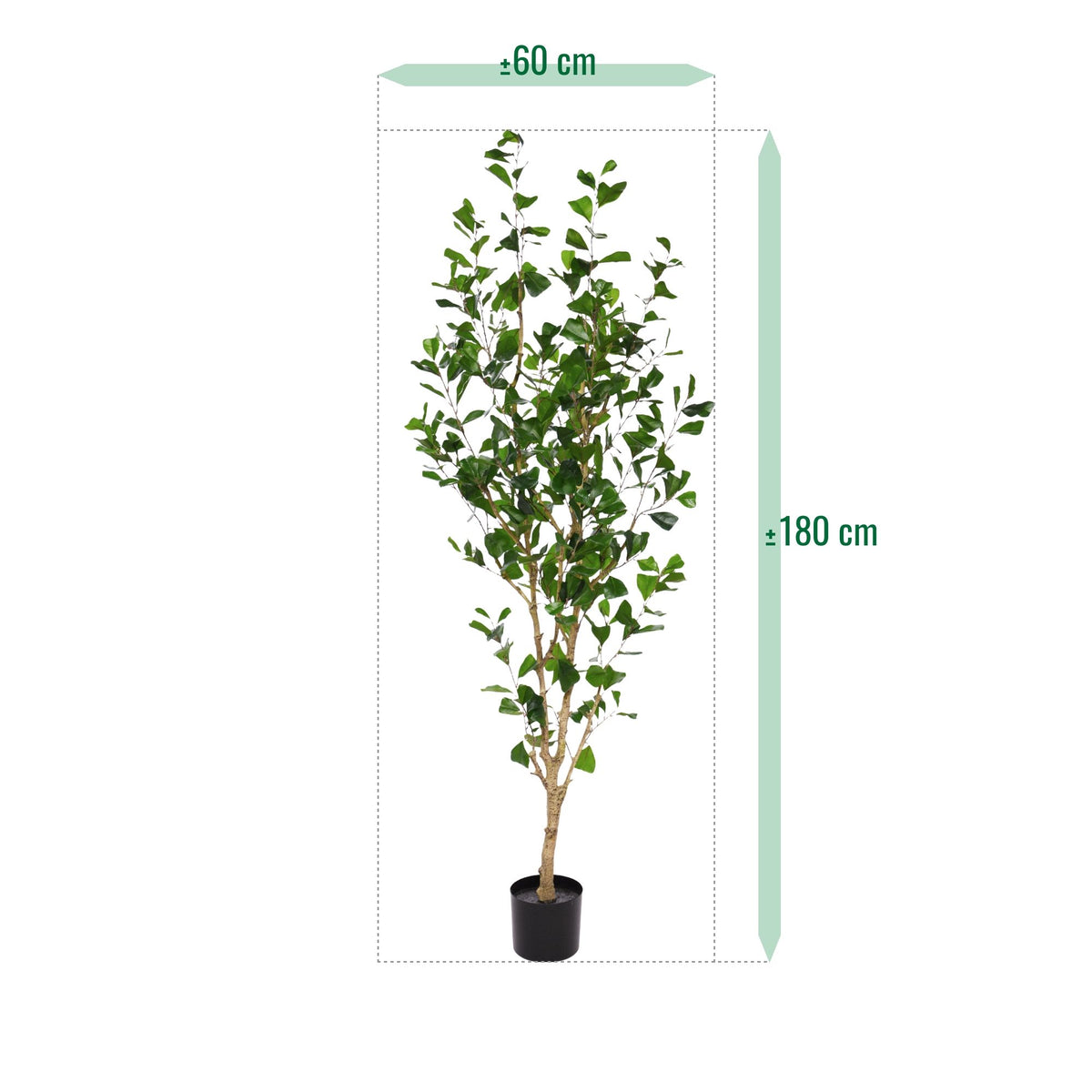 Ficus Triangularis Kunstboom 180cm