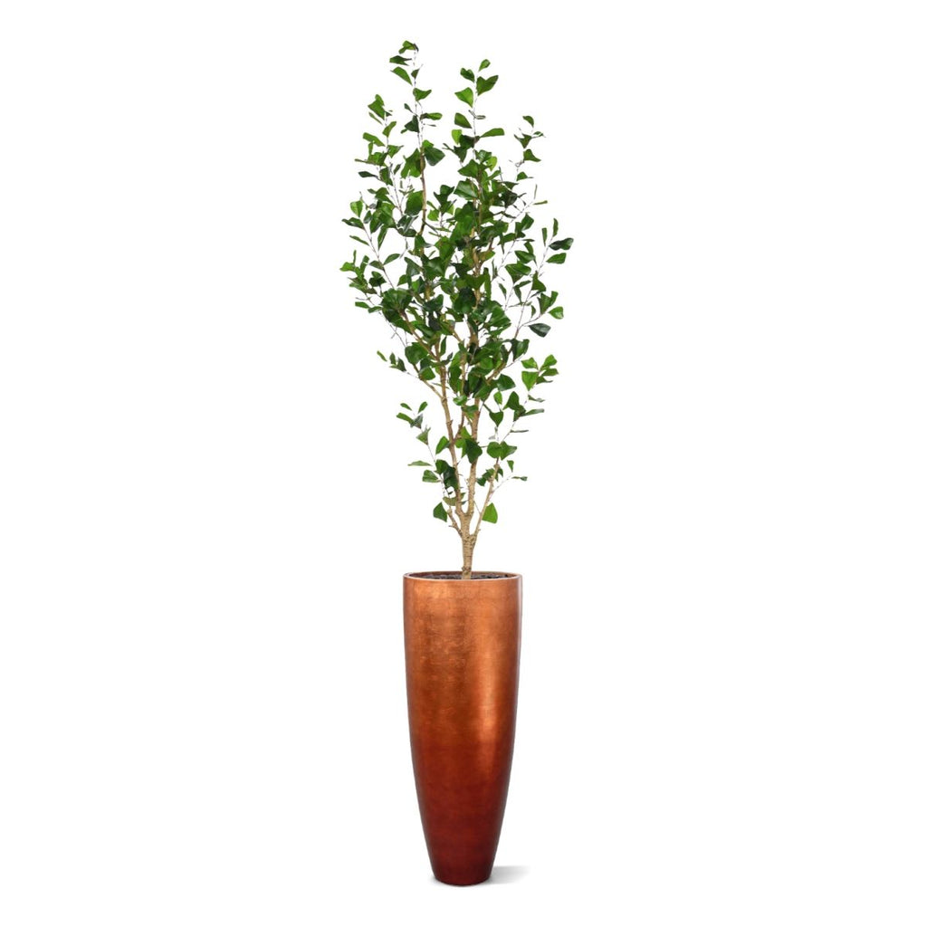 Ficus Triangularis Kunstboom 180cm