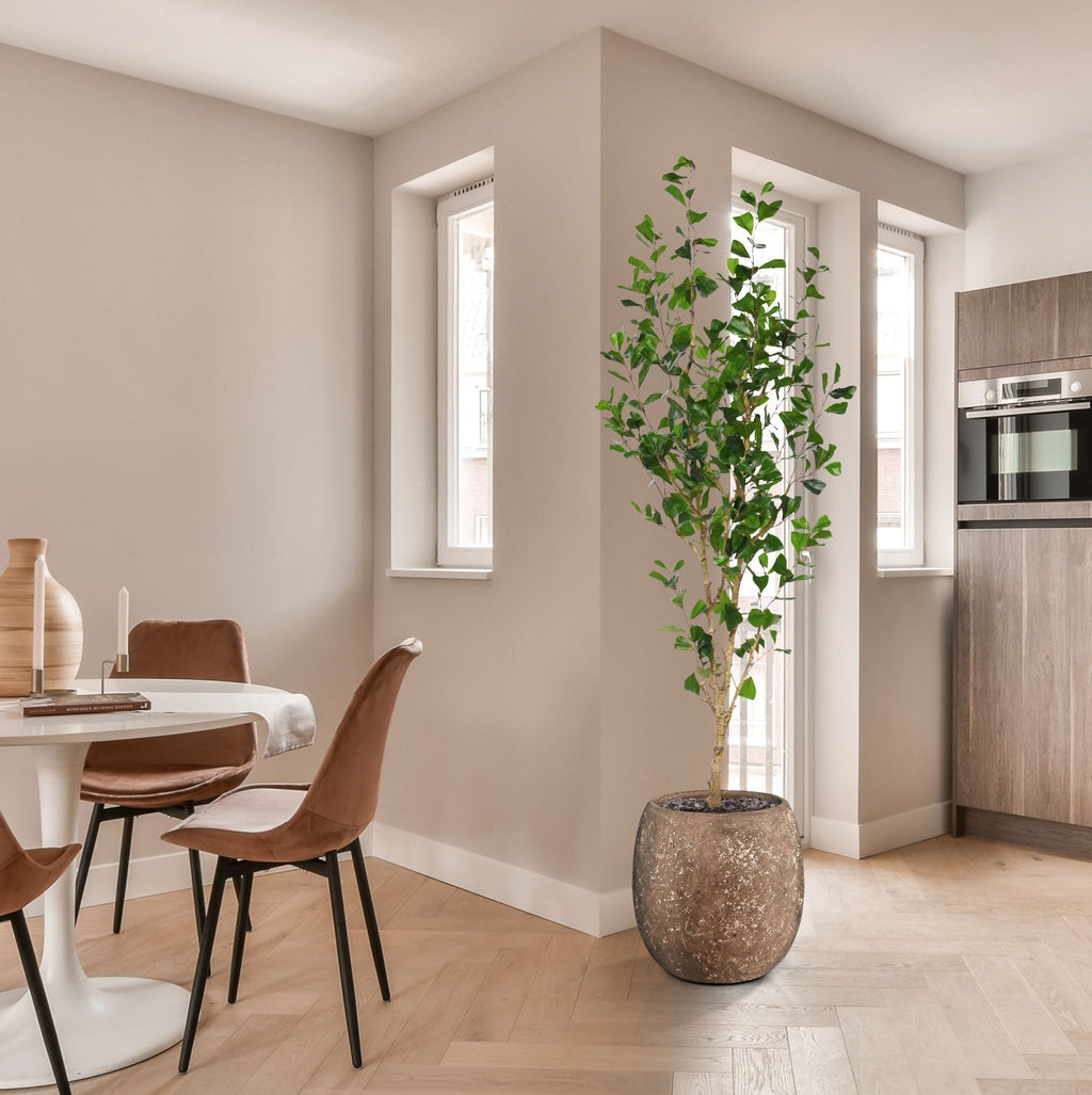 Ficus Triangularis Kunstboom 180cm
