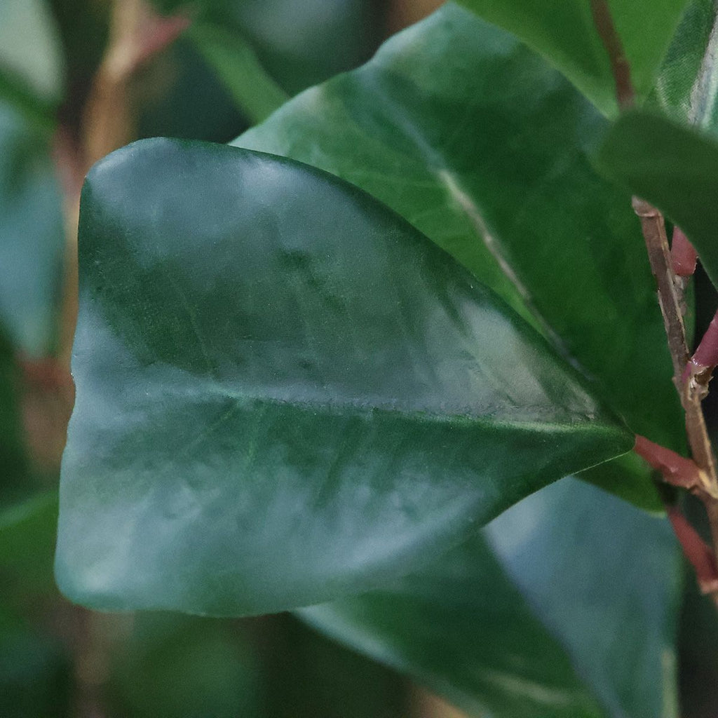 Ficus Triangularis Kunstboom 180cm