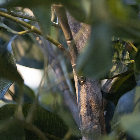 Kunst Olijfboom 120cm