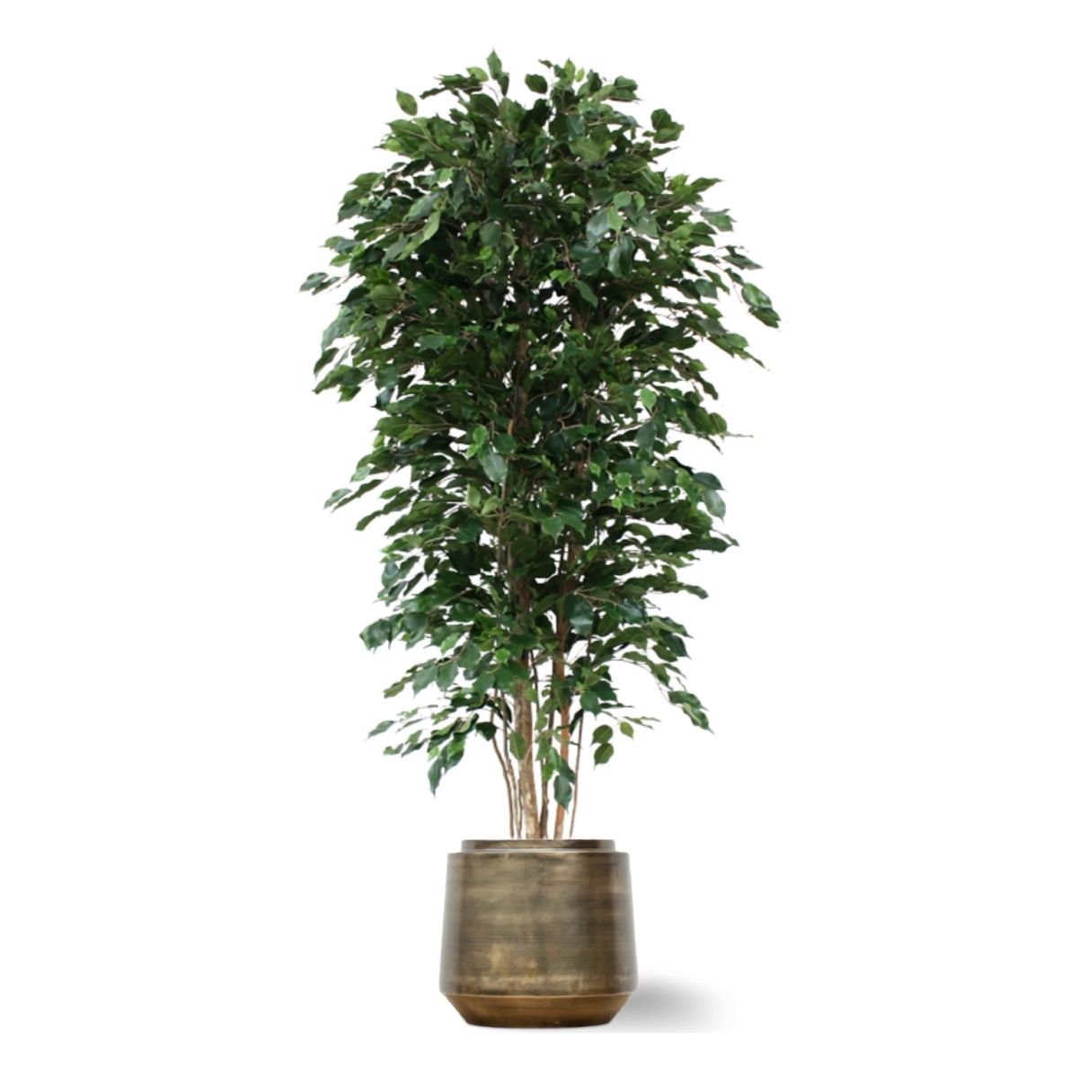 Ficus Exotica deluxe kunstboom 210cm - groen