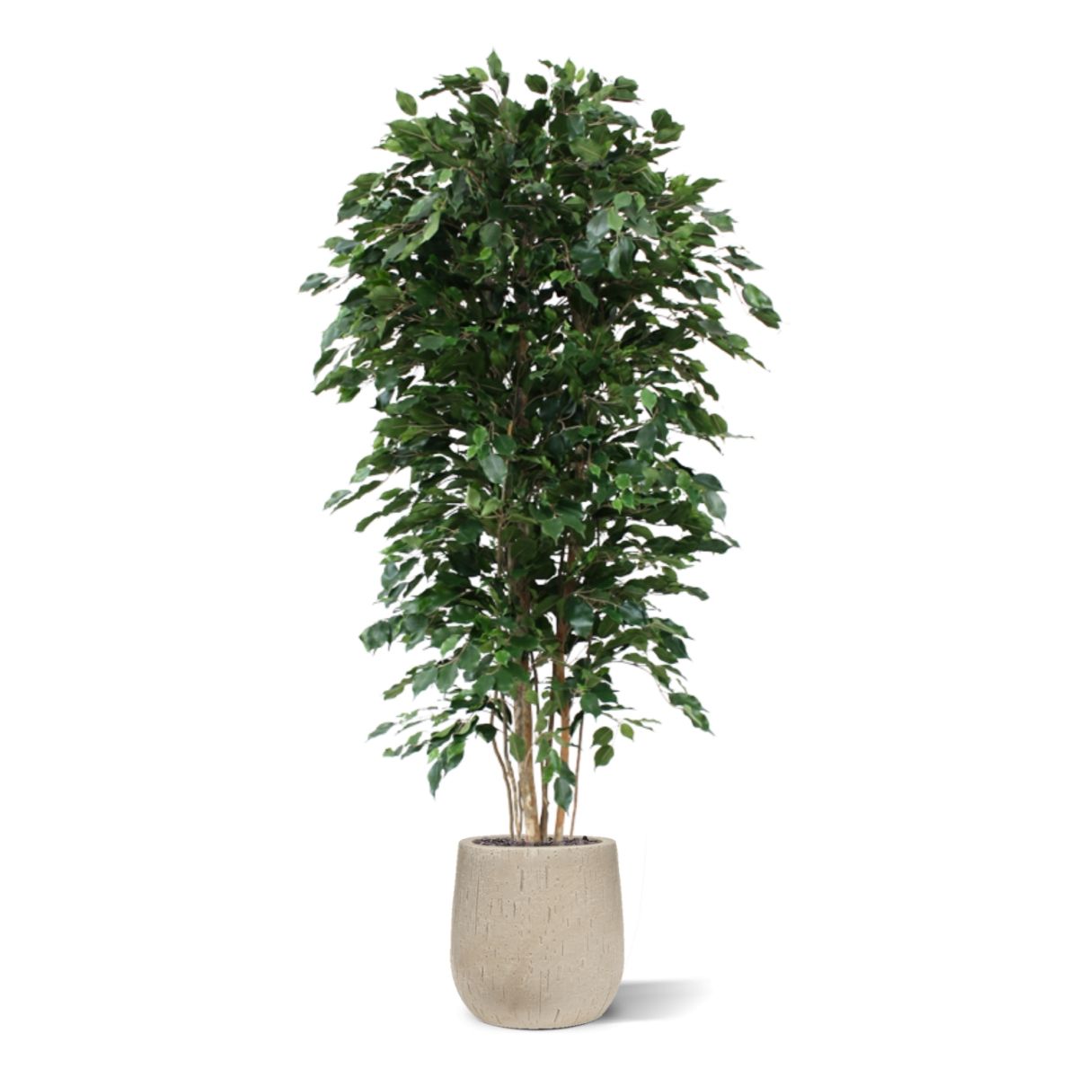 Ficus Exotica deluxe kunstboom 210cm - groen