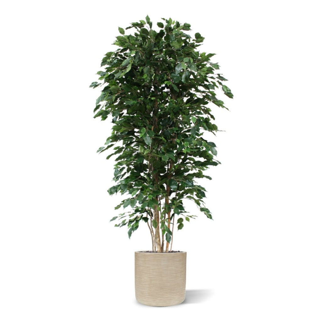 Ficus Exotica deluxe kunstboom 210cm - groen