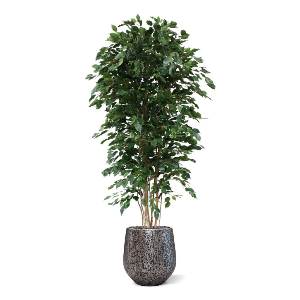 Ficus Exotica deluxe kunstboom 210cm - groen