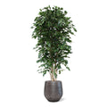Ficus Exotica deluxe kunstboom 210cm - groen