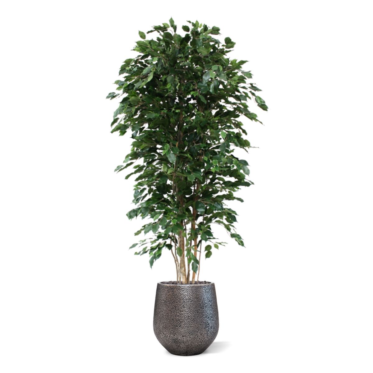 Ficus Exotica deluxe kunstboom 210cm - groen