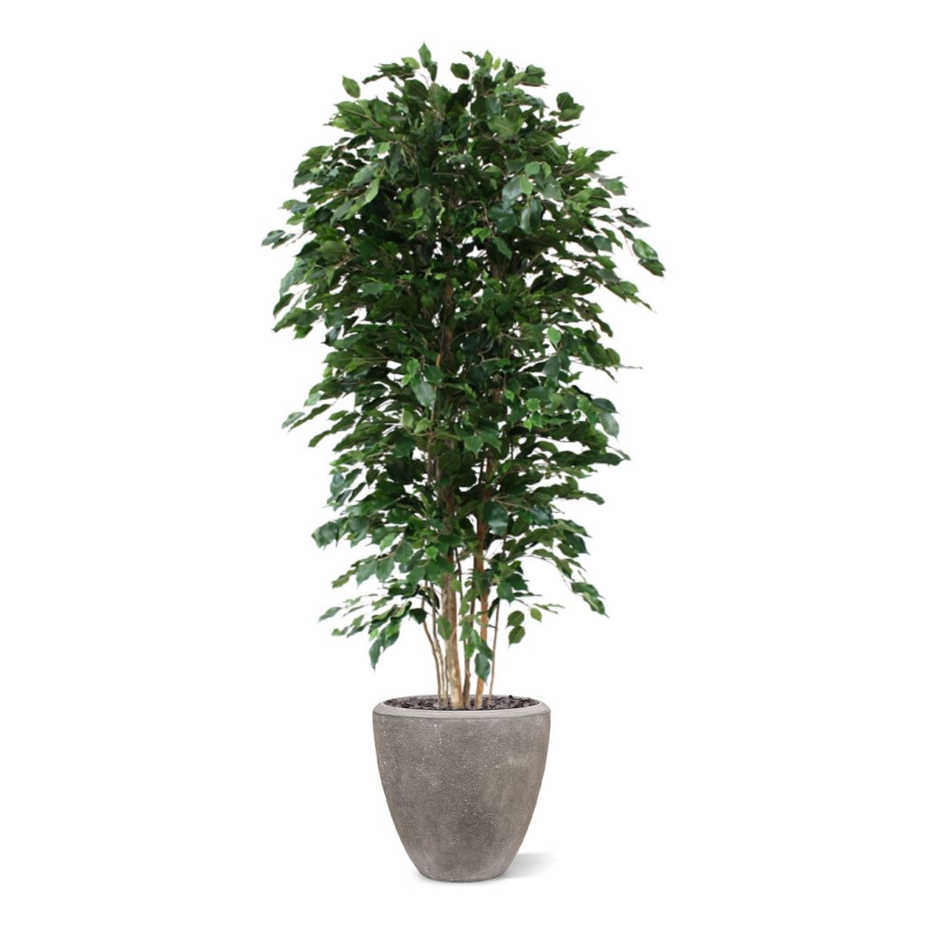 Ficus Exotica deluxe kunstboom 210cm - groen