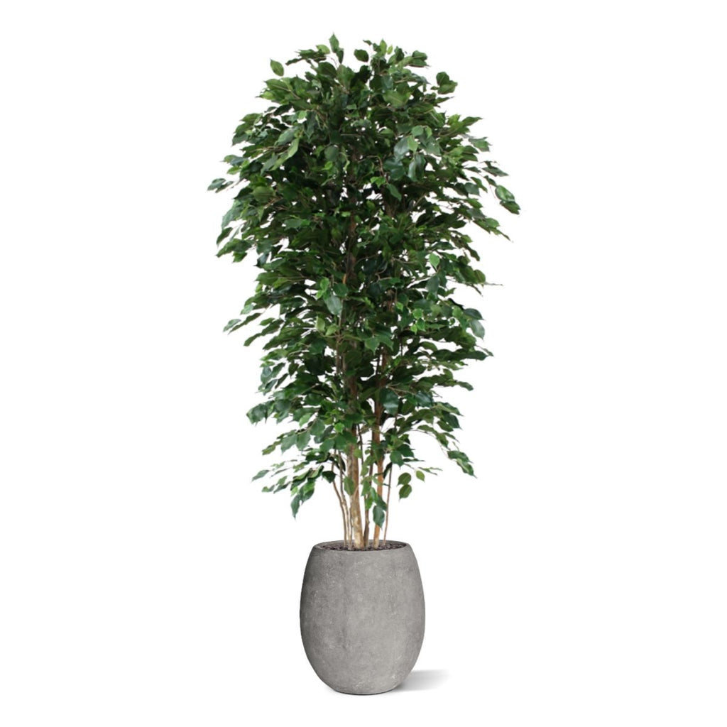 Ficus Exotica deluxe kunstboom 210cm - groen