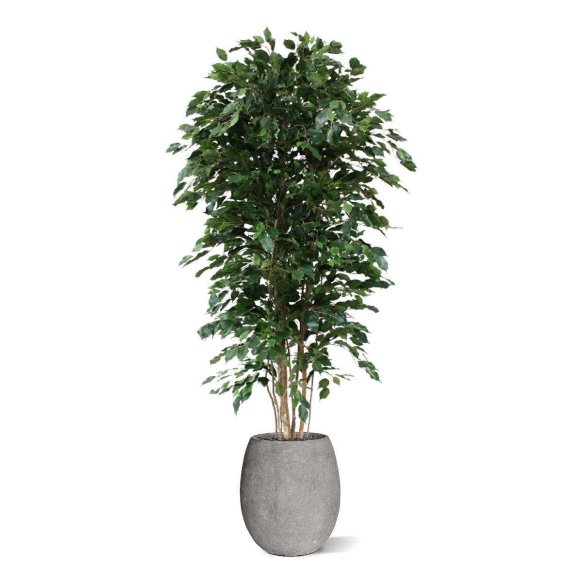 Ficus Exotica deluxe kunstboom 210cm - groen
