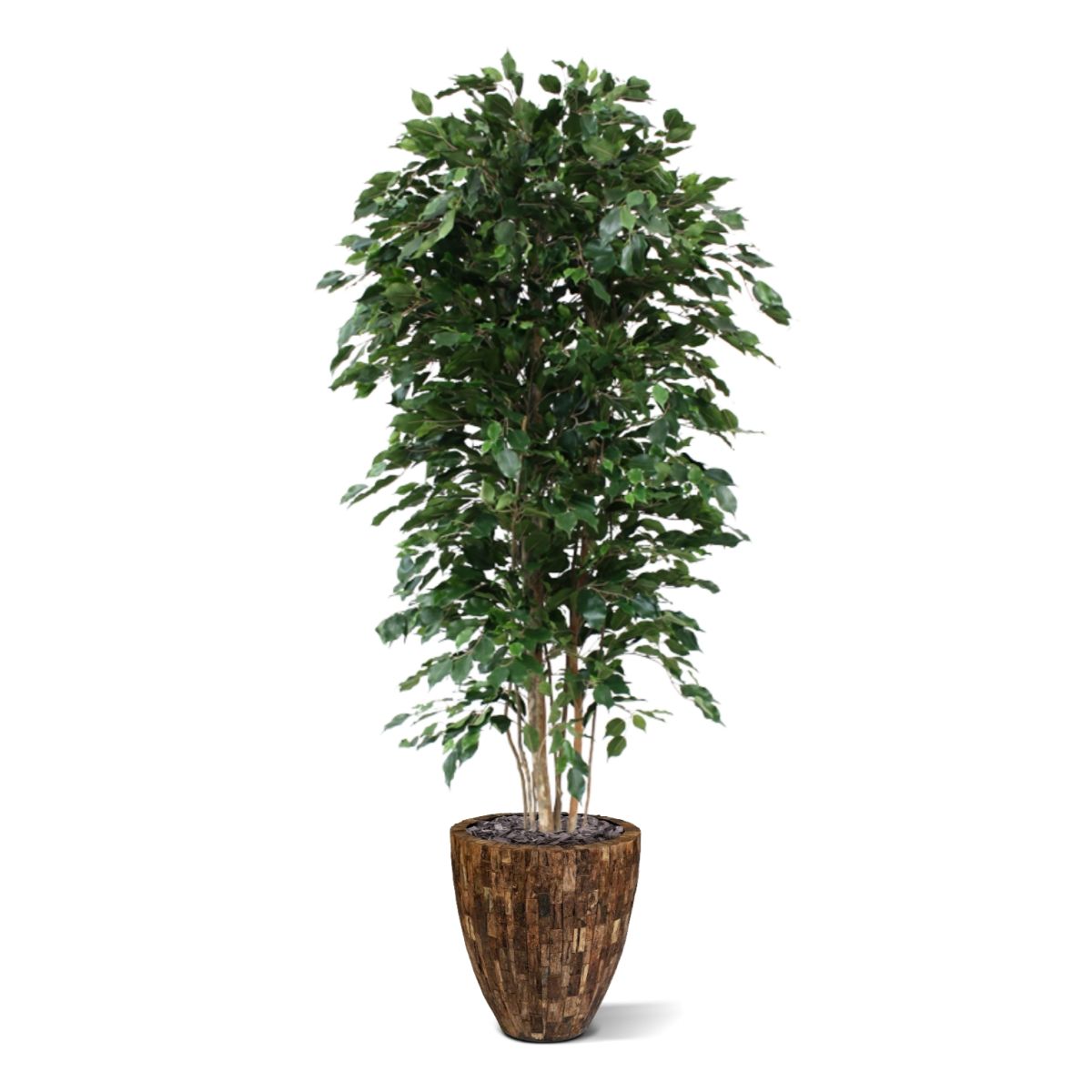 Ficus Exotica deluxe kunstboom 210cm - groen