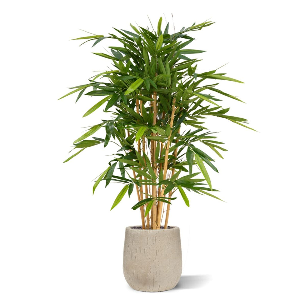 Bamboe deluxe kunstplant 120cm