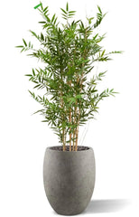 High Art outdoor Bamboo plant 120 cm UV-protected