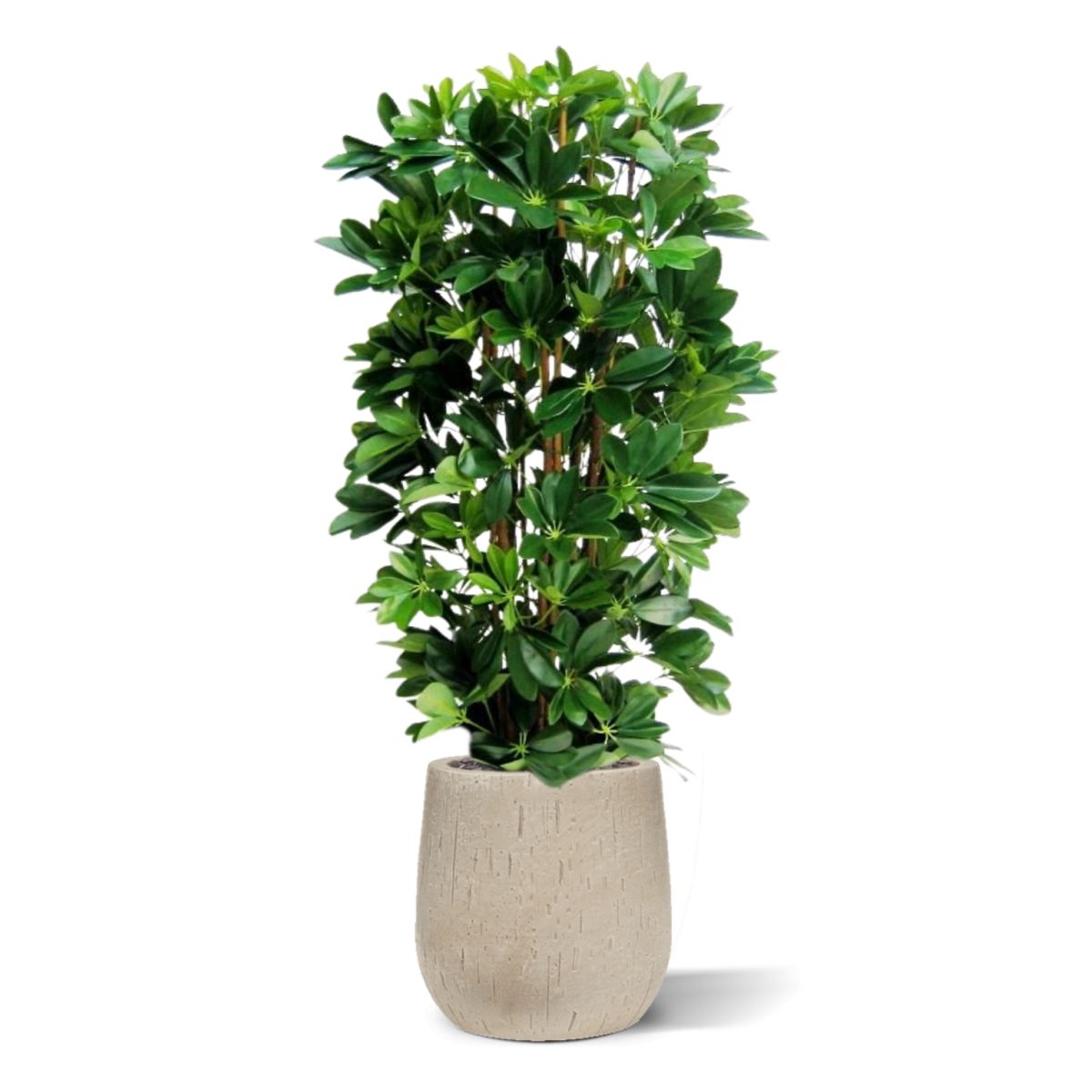 Schefflera kolom kunstplant 120cm