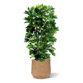 Schefflera kolom kunstplant 120cm