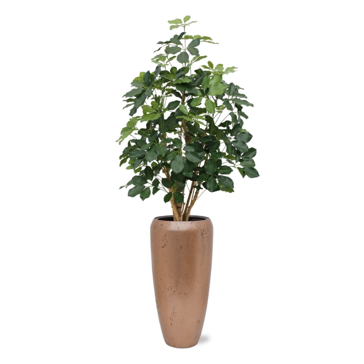 Schefflera Exotica kunstplant 120cm