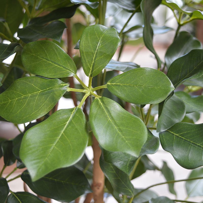 Schefflera Exotica kunstplant 120cm