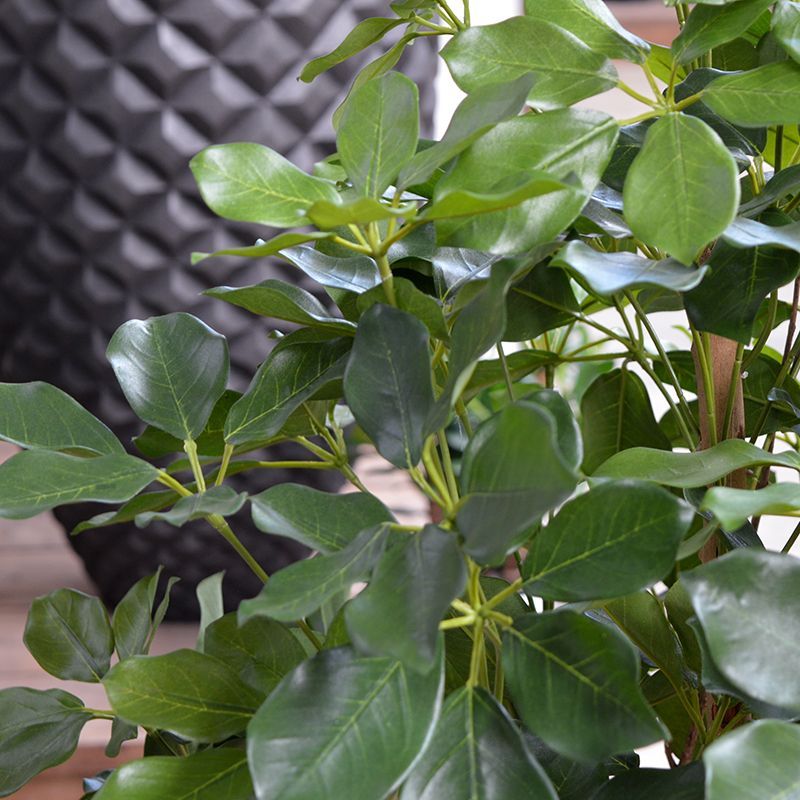 Schefflera Exotica kunstplant 120cm
