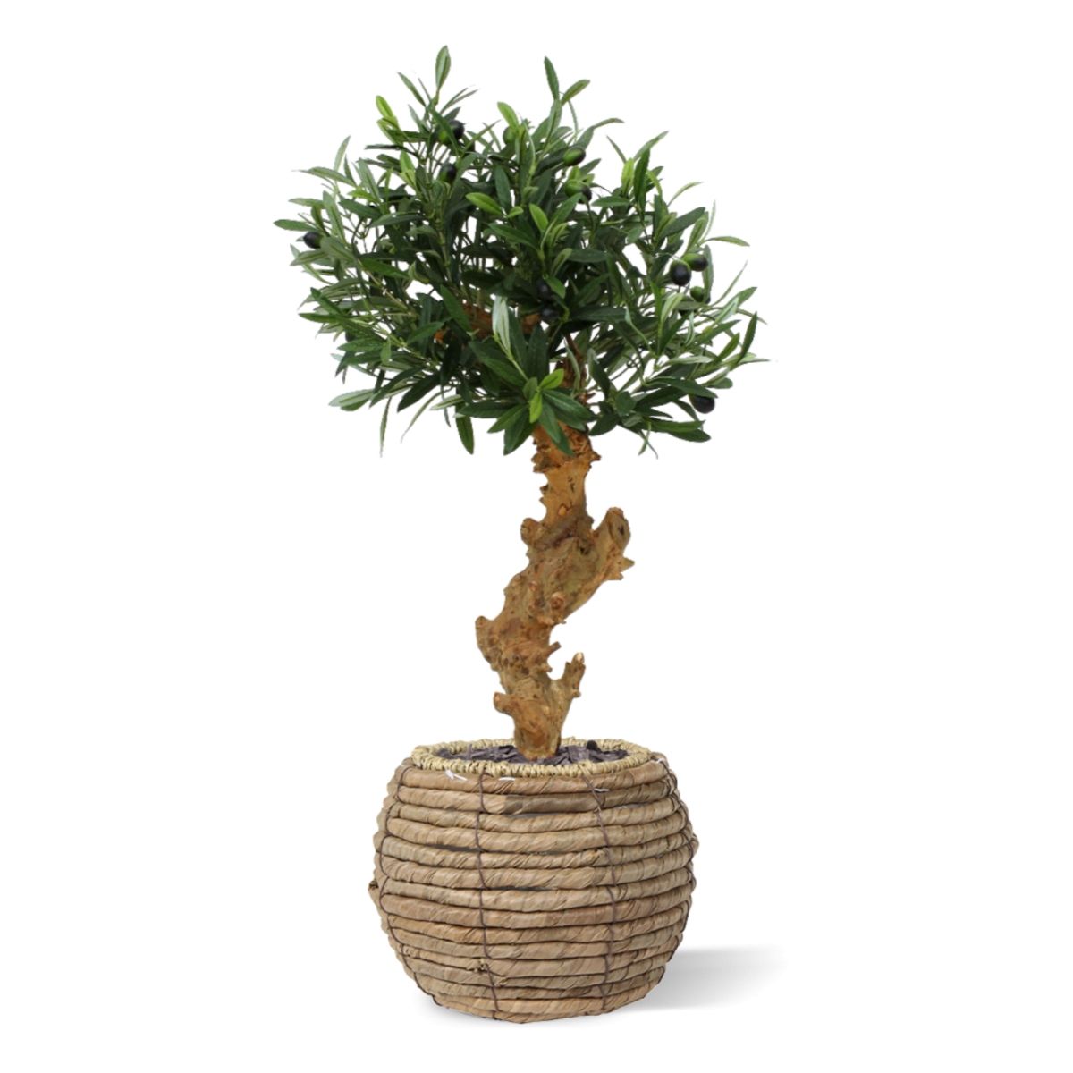 Olijf Bonsai deluxe kunstboom op voet 60cm