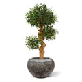 Olijf Bonsai kunstboom op voet 90cm