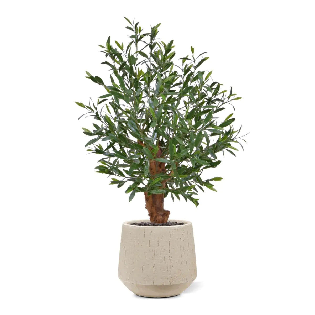 Olijfbonsai kunstboom Deluxe 90 cm UV