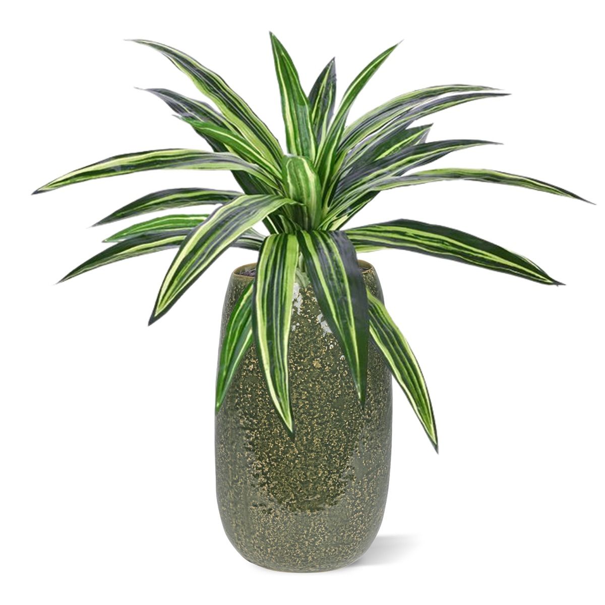 Draceana Massangeana kunstplant 40cm - groen